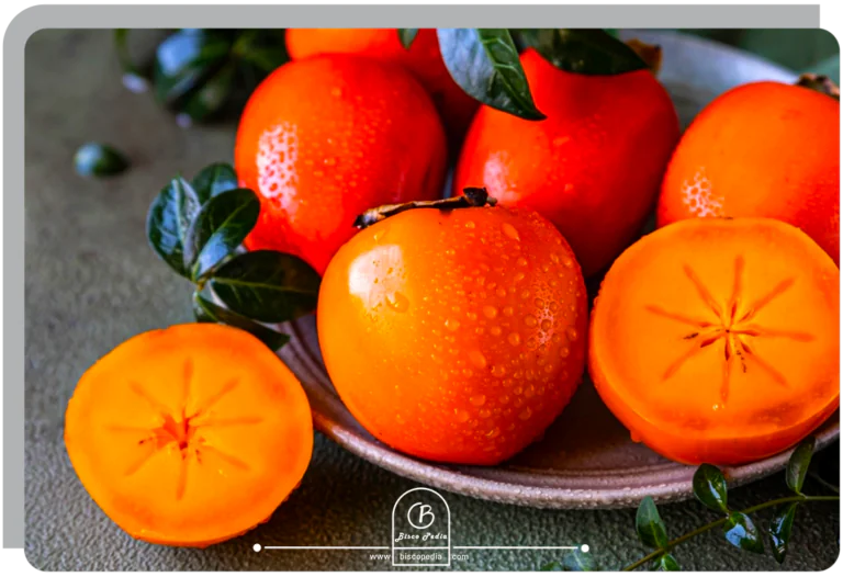 چند مدل شیرینی با خرمالو