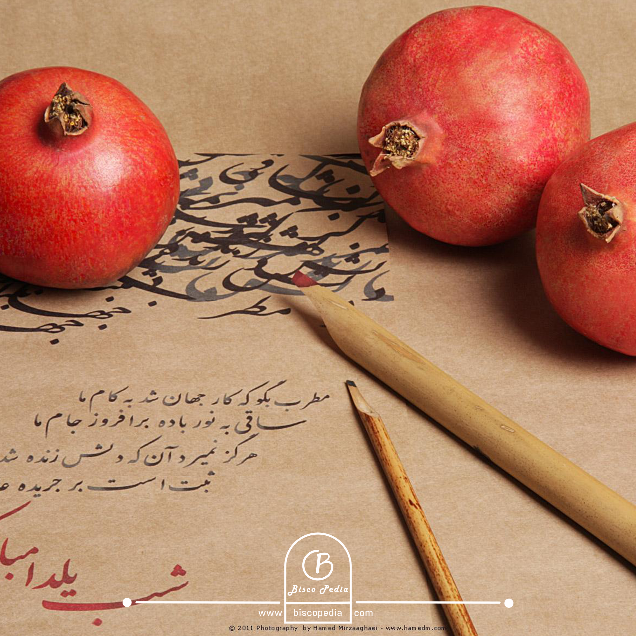 یلدای جذاب