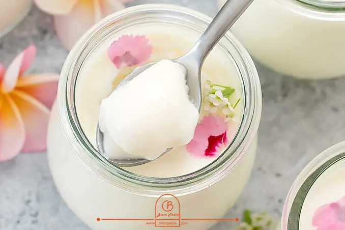 طرز تهیه پودینگ شیر؛ دسر همه پسند
