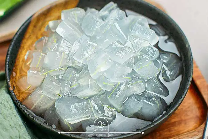 طرز تهیه کمپوت آلوئه‌ورا؛ سالم و متفاوت