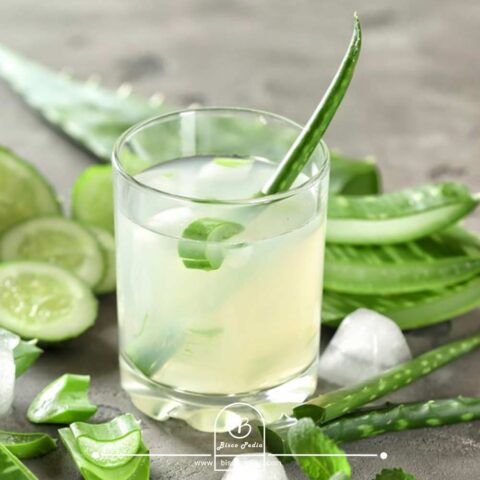 طرز تهیه شربت آلوئه‌ورا برای روزهای گرم