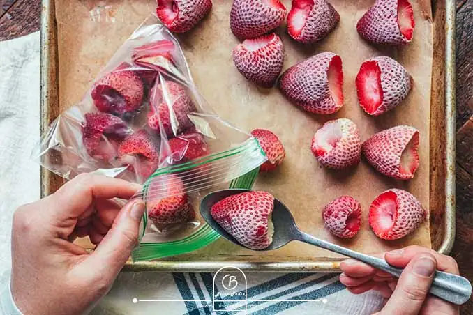 روش فریز کردن توت فرنگی برای نگهداری طولانی