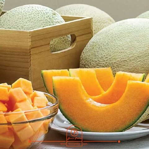 روش تشخیص گرمک، ملون، طالبی و شاه‌پسند؛ راهنمای کامل خرید میوه‌های تابستانی ﻿